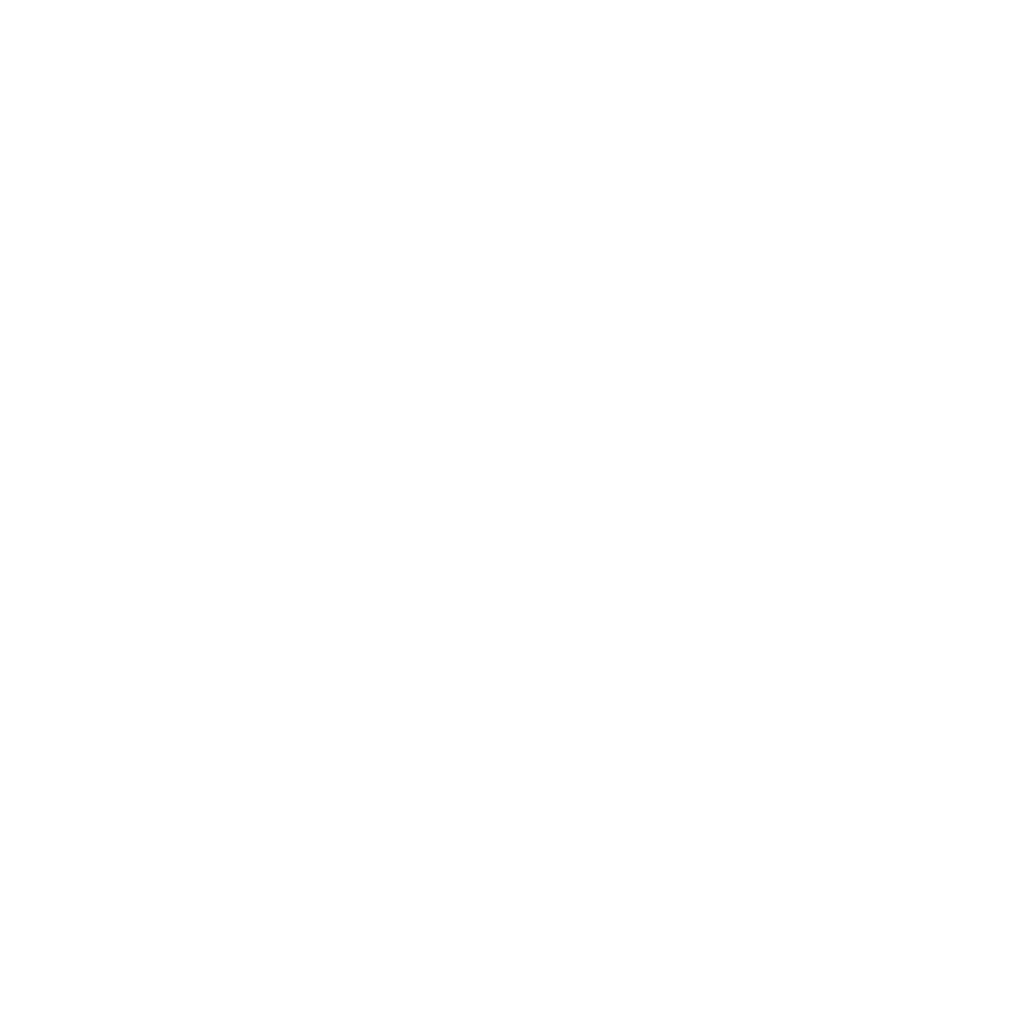 Botn Fjellstue Logo