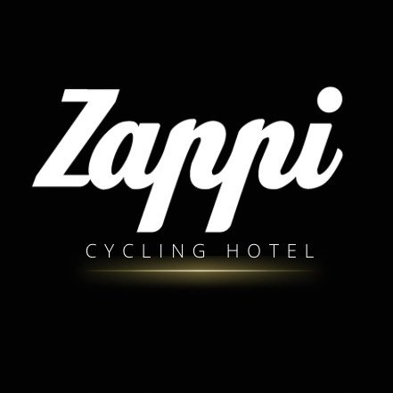 zappi Logo